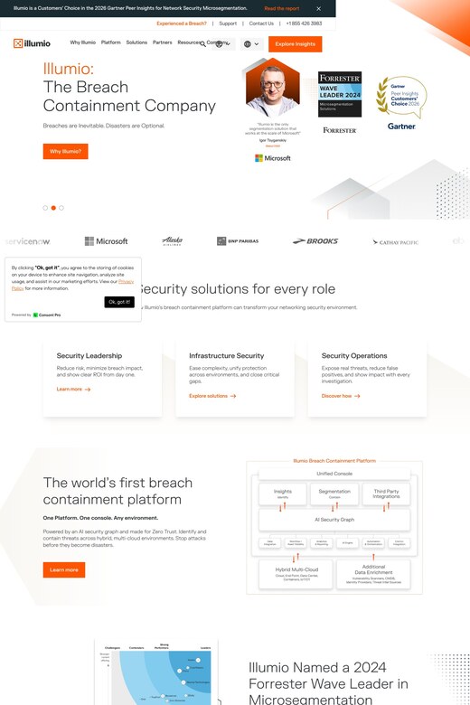 Portrait website preview for cloud security